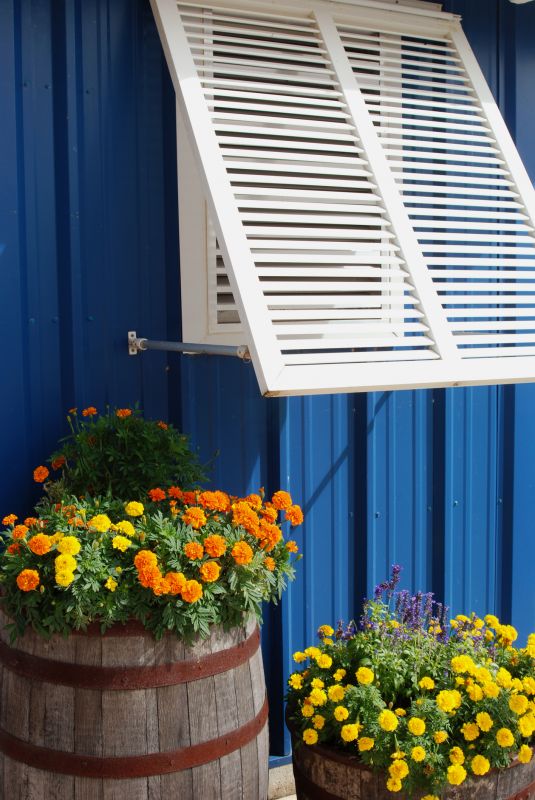 Shutters Installation in Denver County, CO